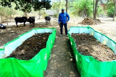 agriculture-1